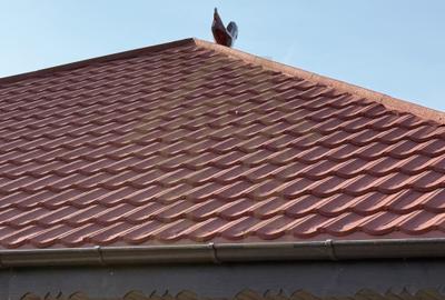 Vila Tilia Vlasiei cu Gradina 700 m2 langa Padure - 5