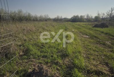Teren Construcții intravilan de 6835 mp, în Rucăr