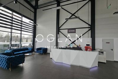 Service auto cu showroom si linie ITP, Cisnadie - 2