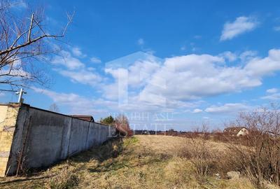 Teren cu deschidere lac Snagov Vladiceasca - 5
