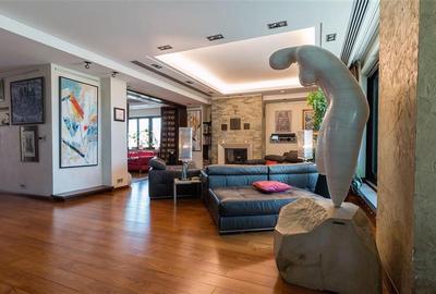 Penthouse spectaculos cu vedere catre parc - 10