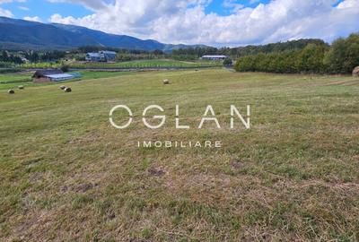 Teren Tocile (parcelabil) 3500 mp - 6