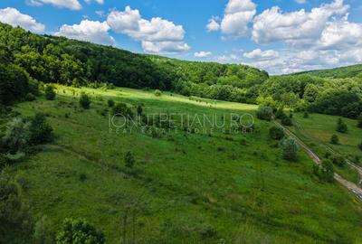 Teren Pasune + Arabil - Valea Mare Podgoria Arges - 10