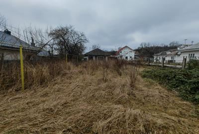 Teren intravilan central, Magura - 3