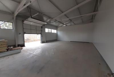 Hale cu suprafete intre 100-560mp in zona Drumul Intre Tarlale - 1