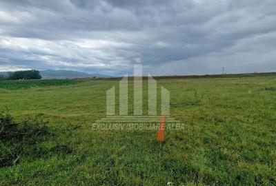 Teren intravilan | De vanzare | 450 mp | 14 ml deschidere | Partos - 2