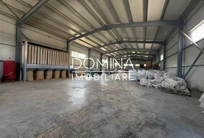 Vanzare complex industrial multifunctional – pozitie strategica, Targu Jiu - 4