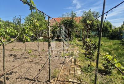Casă renovată complet, cu garaj și anexe, în Satchinez, Timiș - 17