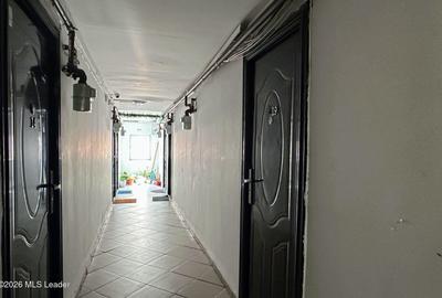 Fizicienilor - Lacramioarei, 3 camere 67 mp, pod 40 mp, modernizat - 13