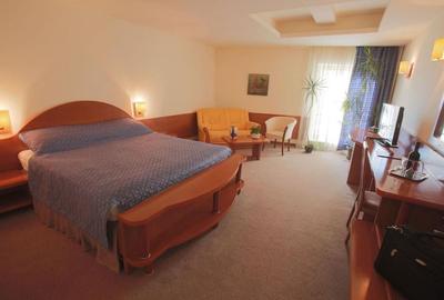 Zona Pta Victoriei, Hotel 4 stele, cu restaurant si crama,comision 0 - 10