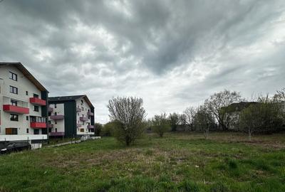 TEREN INTRAVILAN 2000 MPU - NEPPENDORF - TURNISOR - 1