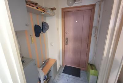 Apartament cu 2 camere semidecomandat în Viziru 3