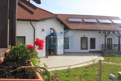 Guesthouse for sale near Mehedinți Mountains - 7