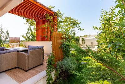 Casă / Vilă cu 5 camere de vanzare in Mogosoaia, 200 m pana la padure - 24