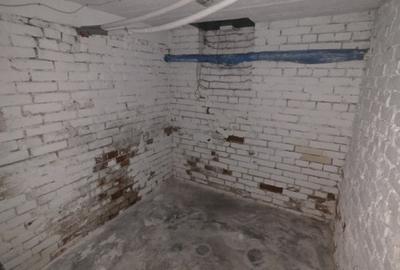 Inchiriere Spatiu Comercial Vasile lascar Dacia - 3
