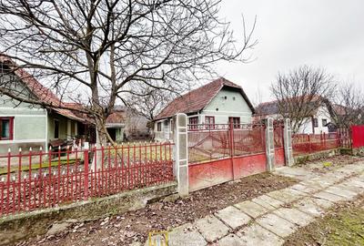 De vanzare casa Taut-Arad - 1