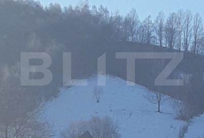 Teren Construcții intravilan de 9428 mp, în Bran