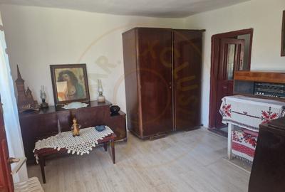 Căsuță autentică românească între două dealuri–colț de liniște  în Botesti, Arge - 11