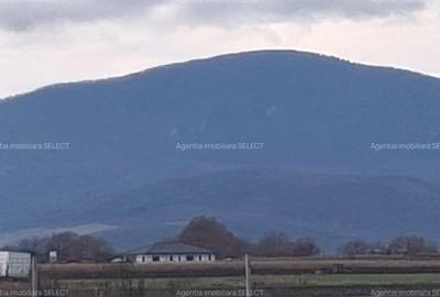 Loturi Teren Construcții case,intravilan , în cartier Stupini, Brasov - 2