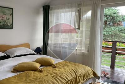 Pensiune - Domeniu montan - Casa si cabana 14 camere de vânzare - 20