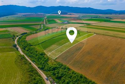Oportunitate pentru fermieri: 10.800 mp teren arabil în Rotbav, Brașov - 1