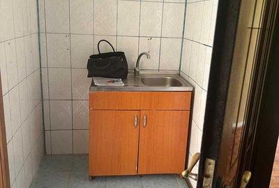 Apartament 2 camere Buziasului - 4