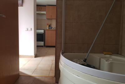 Vanzare garsoniera la curte, renovata, centrala proprie, 62.000 euro - 12