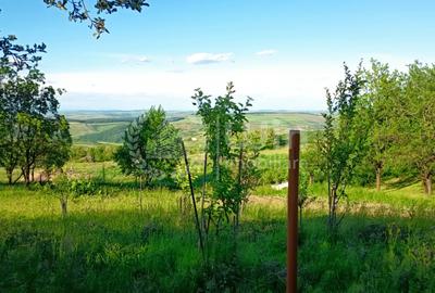 Teren intravilan 1340mp ideal pentru casa in Sat Gheorghieni! - 4