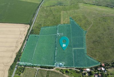 Teren agricol extravilan de 80000 mp, în Covăsinț