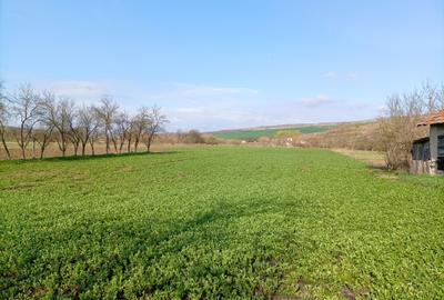 Vanzare teren intravilan parcelabil, in localitatea Rascruci - 1