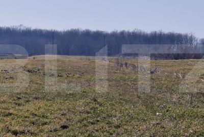 Teren Construcții intravilan de 10000 mp, în Exterior Est