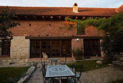 CASA THEA | INVESTIȚIE ÎN TURISM, GASTRONOMIE ȘI EXPERIENȚE | SOCOLARI - 15