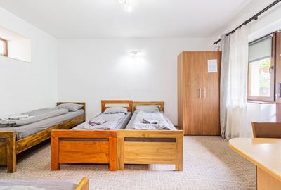 Pensiune/Vila turistica /cazare muncitori in Cristian Brasov - 30