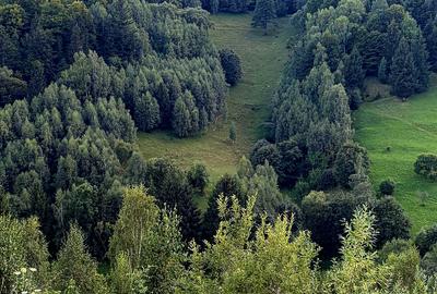 Teren extravilan 8635 mp, Pestera /Brasov - 8