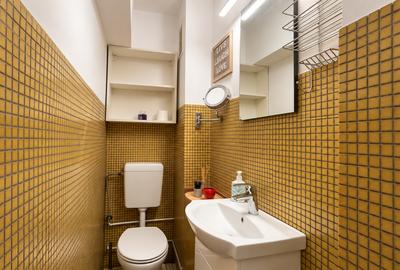 Apartament cu 3 camere in Zona Garii - 12