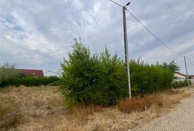 Teren de vanzare in zona Biharia - 3