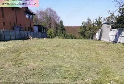 Teren Construcții intravilan de 1700 mp, în Cocoșești