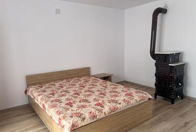 Casa renovata cu teren si anexe in Birtin - 5