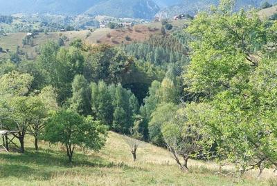 Teren de vânzare | Măgura, Brașov | Oportunitate de Investiție - 8