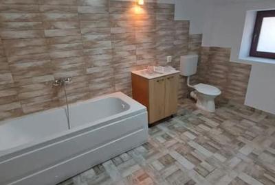 Vila la inchiriere in zona Titulescu - 7