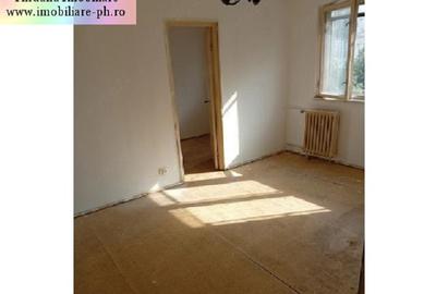 Apartament 3 camere de vanzare : Malu Rosu - 2