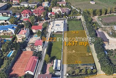 Teren Construcții intravilan de 1637 mp, în Iancu Nicolae