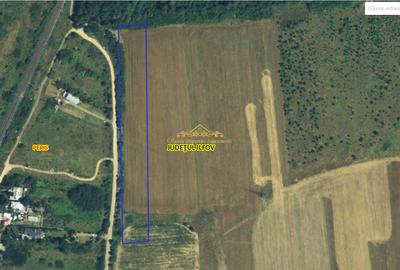Teren intravilan Peris 10.000 mp pt complex de case - 4