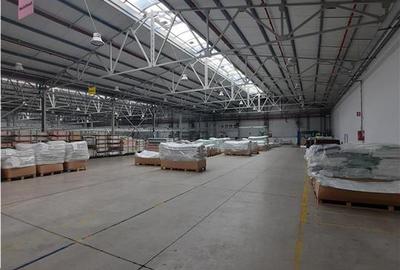 Spatiu Industrial - 6500 mp - Productie - Depozitare - 9