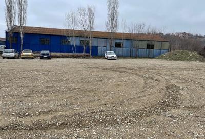 Vand teren cu hale 8.000 mp Sos. Bucium nr. 23 - 15