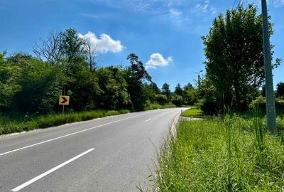 Teren intravilan 2778 mp Bucium Iași, Dublă deschidere 45 m la asfalt POT 15% - 7