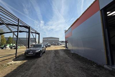 Vanzare hala/depozit/spatiu industrial Magurele - Centura, ILFOV - 5