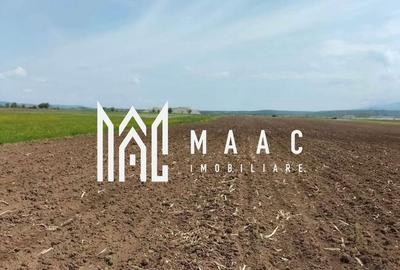 Teren agricol extravilan de 10000 mp, în Bradu