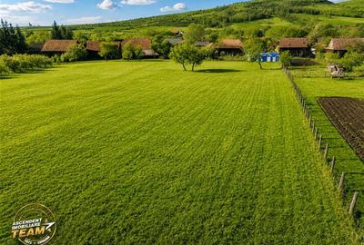 FILM! Domeniu de 6.221mp, livada pomi fructiferi+casa si anexe,Lemnia, Covasna - 5