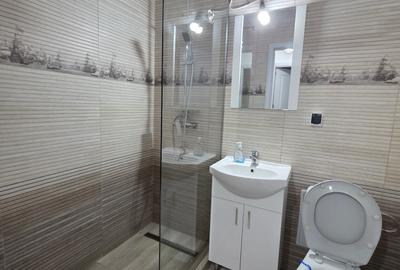 Apartament cu 3 camere de inchiriat in zona Piata Resita - 21